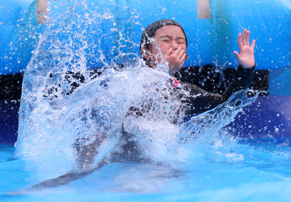 폭염 피해 입수!