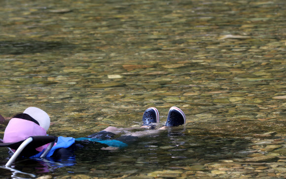 더위에는 물 속이지