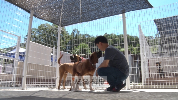 지난 1일 경기도 남양주 동물자유연대 반려동물복지센터에서 만난 조영련 실장이 지난해 1월 경기도 여주시의 한 개농장에서 구조된 초코와 울라를 돌보고 있다.