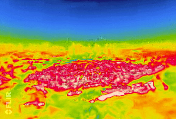 ‘폭염 언제 가나’