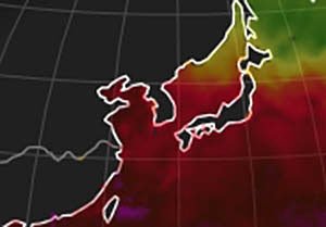최강폭염 한반도… ‘바다도 뜨겁다’
