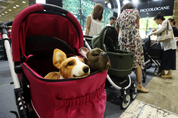 필수품이 된 애완견 유모차