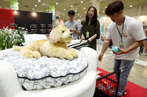 반려동물 상품 총집합