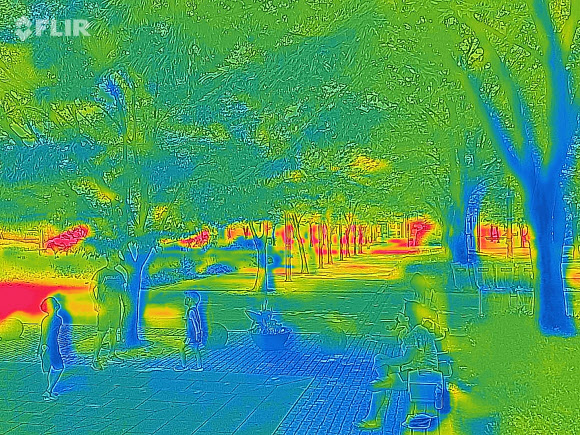 숲이 필요한 이유