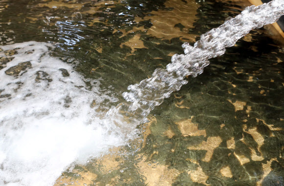 고수온…양식 넙치 살려