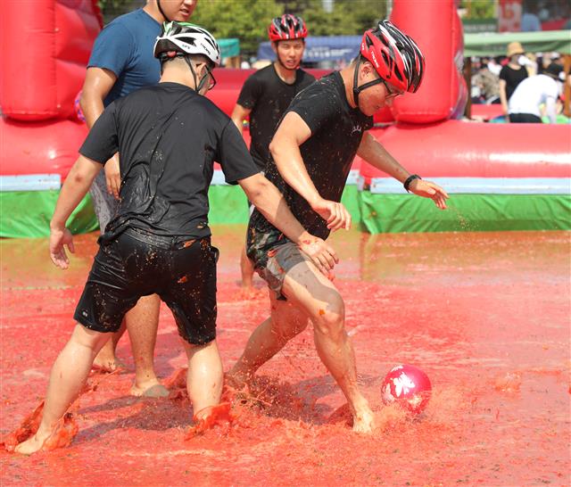 4일 강원 화천군 사내체육공원에서 열린 ‘2018화천 토마토축제’에서 육군 장병들이 토마토풀장에서 ‘토마토 축구’를 하고 있다.2018.8.4 뉴스1