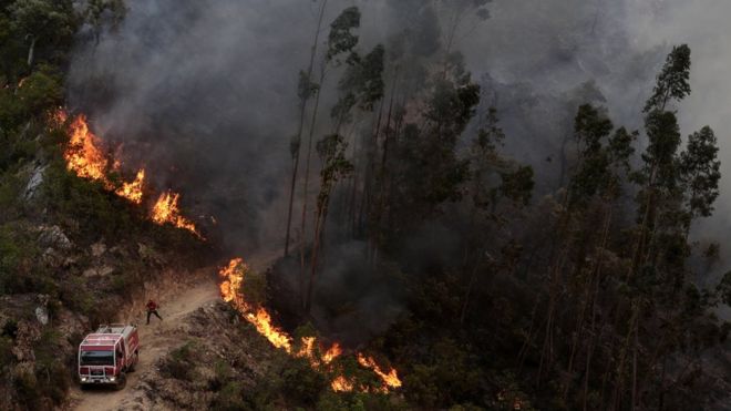 포르투갈 남부 알가르베 지역 몬치케를 덮친 대형 산불이 사흘째 이어지고 있는 가운데 지난 3일(현지시간) 페르나 데 네그라 마을 임도에서 한 소방관이 사투를 벌이고 있다. 몬치케 EPA 연합뉴스