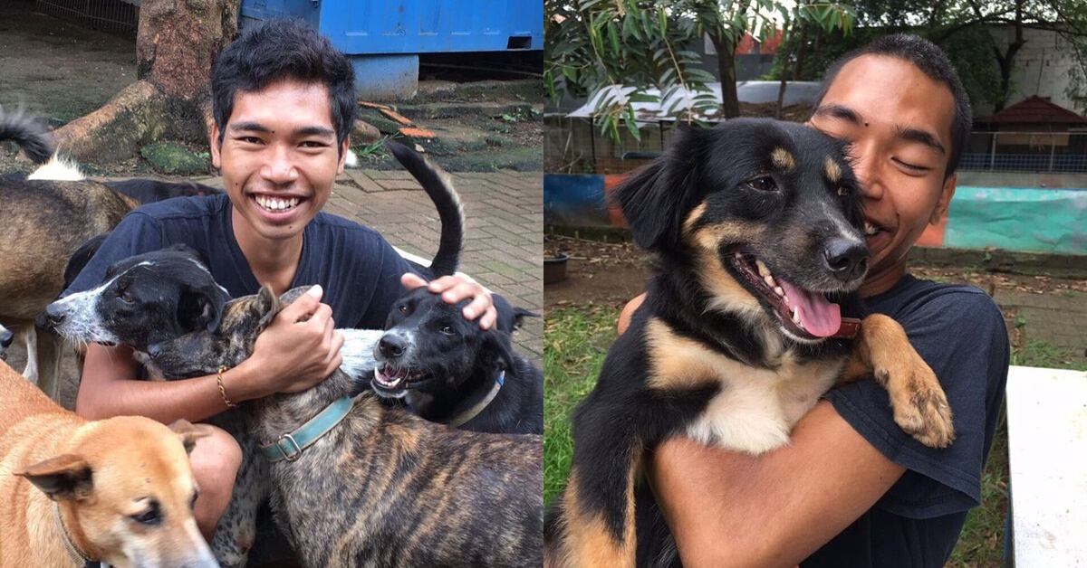 동물보호연합 DMFI(Dog Meat Free Indonesia)