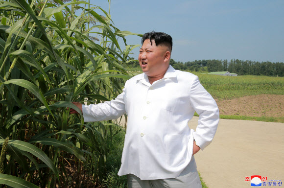 김정은, 운곡지구종합목장 시찰