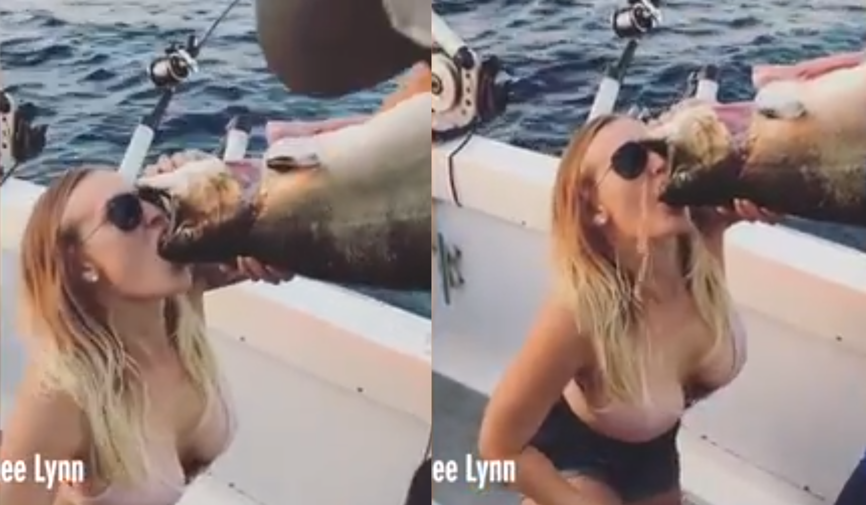 사진ㅣ에이미 린 SNS/스포츠서울