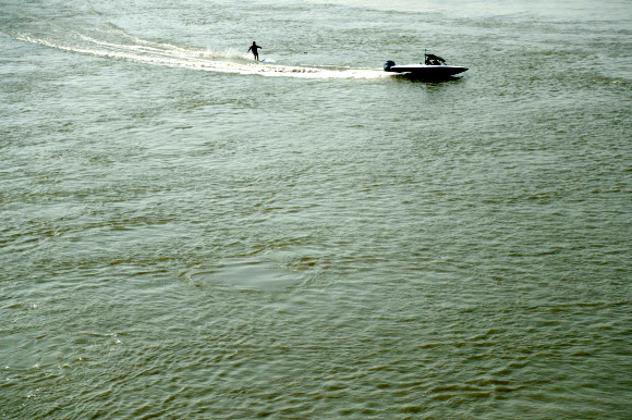 ‘탁해진 물빛’…한강도 녹조 비상