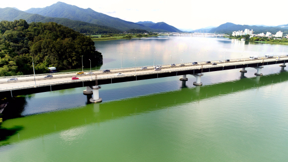 15일 경기도 양평인근 한강물이 녹색을 띄고 있다. 2018.8.15 박지환기자 popocar@seoul.co.kr