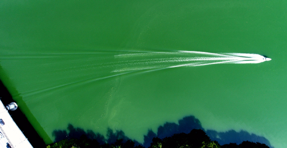 15일 경기도 양평인근 한강물이 녹색을 띄고 있다. 2018.8.15 박지환기자 popocar@seoul.co.kr