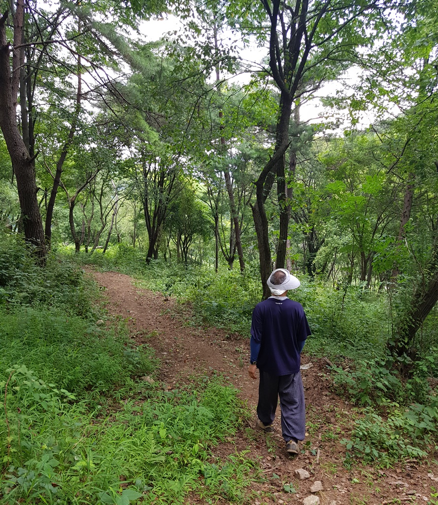 잣나무 숲속 오솔길로 산책 중인 백락사의 성민 스님.