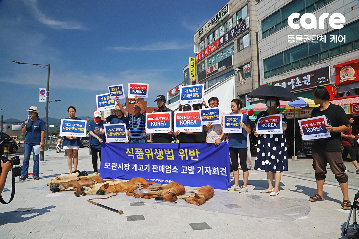 동물권 단체 케어는 15일 오전 경기 성남시 중원구 모란시장 앞에서 기자회견을 열고 개고기 판매업소 5곳을 식품위생법 위반 혐의로 고발할 예정이라고 밝혔다. (사진=케어 제공)