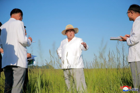 온실농장건설준비사업 현지 지도하는 김정은
