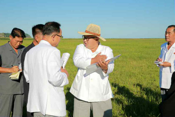 김정은, 함경북도의 온실농장 건설 준비 현장 시찰