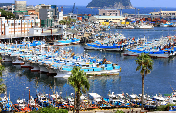 태풍 ‘솔릭’이 북상 중인 20일 오후 제주 서귀포항에 들어와 있는 어선들. 2018.8.20  연합뉴스