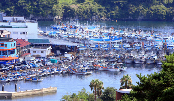 태풍 ‘솔릭’이 북상 중인 20일 오후 제주 서귀포항에 들어와 있는 어선들. 2018.8.20  연합뉴스
