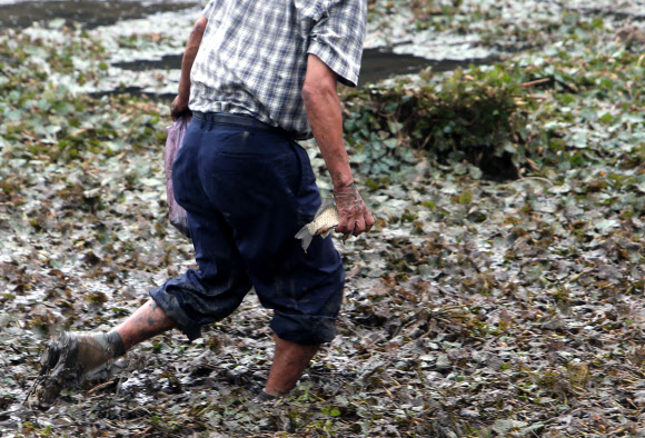 ‘태풍 관통한다는데’…물고기 잡는 사람