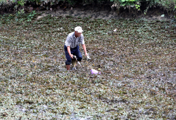태풍 대비해 하천물 비워 놨더니 이런 일이