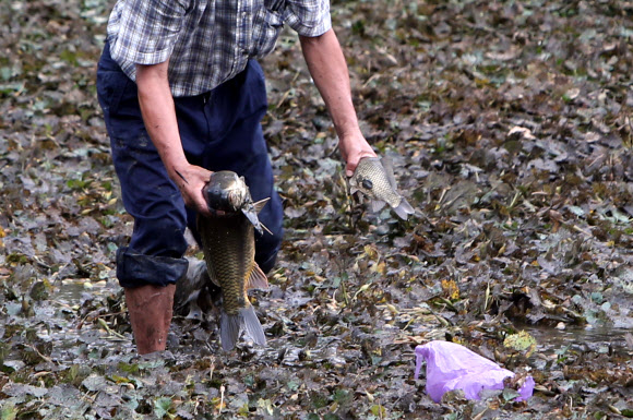 태풍 대비해 하천물 비워 놨더니 이런 일이