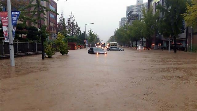 대전 전민동에 쏟아진 물폭탄... 침수된 차량들