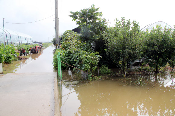 물 넘친 농수로