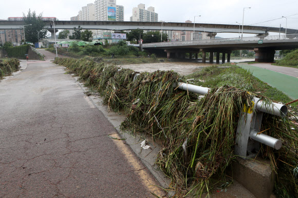 다리에 걸린 수풀