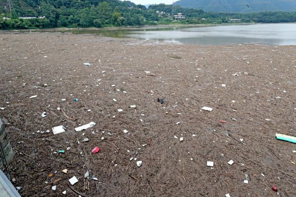 떠내려온 쓰레기