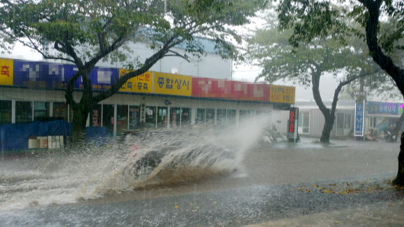 폭우 내린 서귀포 도로