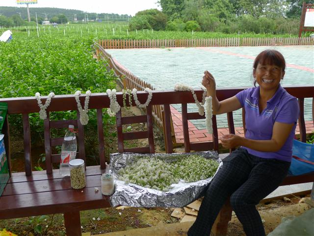 자스민 꽃을 엮어 목걸이를 만들어 팔고 있는 헝시엔의 한 농민이 환화게 웃고 있다.