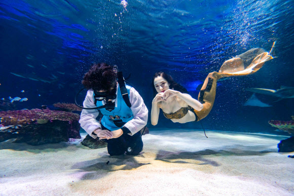 ‘풍성한 한가위 보내세요’