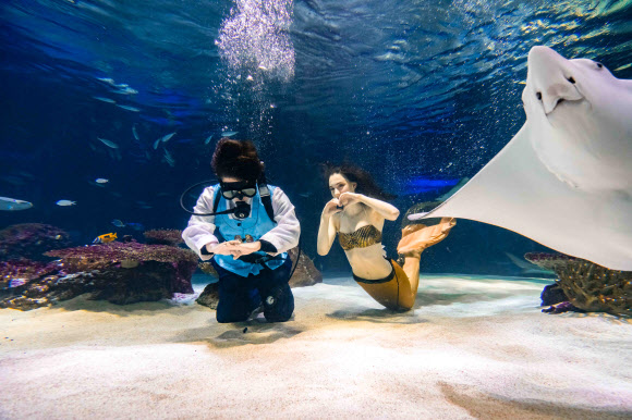 ‘가오리도 큰절 올려요’