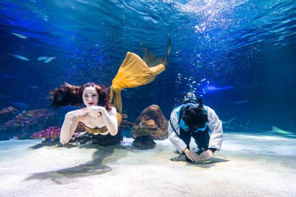 한화 아쿠아플라넷63 ‘큰절 올립니다’