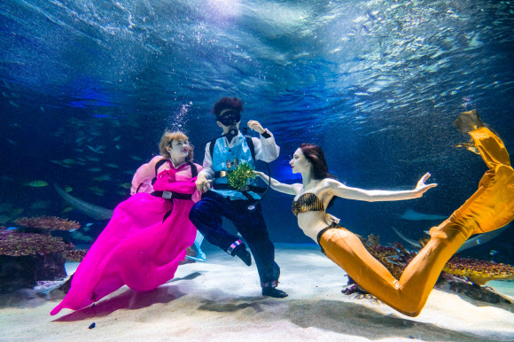 ‘추석엔 가족과 함께 제기차기를’