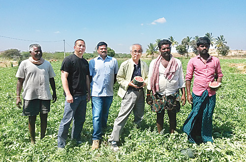 인도 재배 농가. 농림식품기술기획평가원 제공