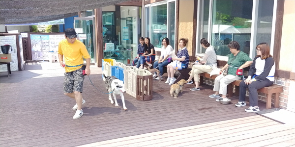 관악여성인력개발센터가 올해 네 번째 ‘펫시터 양성과정’을 개설, 수강생을 모집한다고 밝혔다.