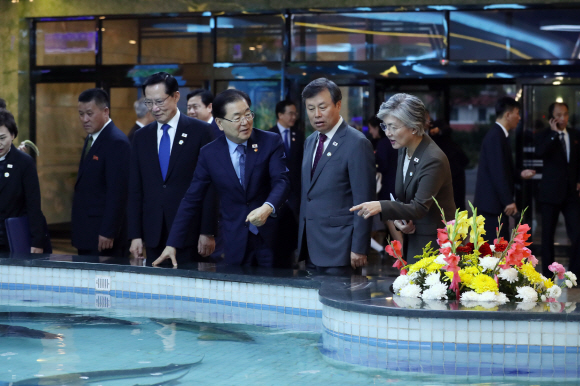 19일 오후 송영무 국방장관(왼쪽부터), 정의용 안보실장, 도종환 문체부 장관, 강경화 외교부 장관이 평양 대동강 수산물 식당을 찾아 수조 속 철갑상어를 구경하고 있다. 2018.9.19 평양사진공동취재단