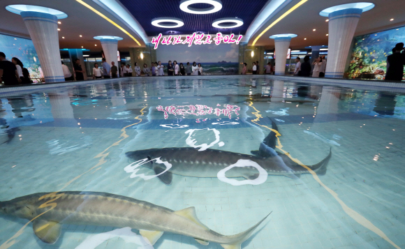 19일 저녁 북한을 대표하는 식당 중 하나인 평양 대동강구역 ‘대동강 수산물 식당’을 찾은 시민들이 실내 수조를 둘러보고 있다. 2018.9.19. 평양사진공동취재단