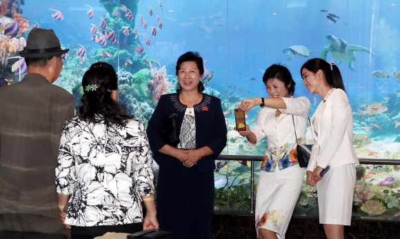 평양남북정상회담 둘째날인  19일 저녁 북한을 대표하는 식당 중 하나인 평양 대동강구역  ‘대동강 수산물 식당’에서 문재인 대통령과 김정은 국무위원회 위원장 내외의 만찬이 열린 가운데 시장을 찾은 시민들이 상점을 둘러보고 있다.2018.9.19. 평양사진공동취재단