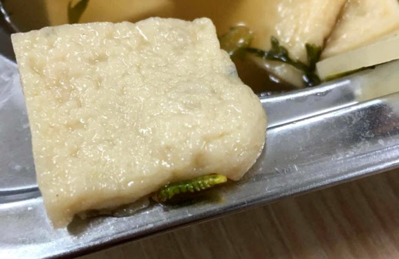 21일 대구 한 고등학교 급식에서 애벌레와 파리가 나와 인터넷상에서 논란이 일고 있다. 학생들에 따르면 이 학교 급식에서 지난 13일부터 3차례에 걸쳐 애벌레와 파리가 발견됐으나 학교는 별다른 조처를 하지 않았다. 한편 학교는 조만간 학부모 회의를 열어 위생문제를 점검할 예정이라고 밝혔다. 2018.9.21  연합뉴스