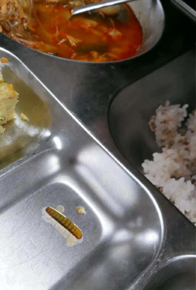 21일 대구 한 고등학교 급식에서 애벌레와 파리가 나와 인터넷상에서 논란이 일고 있다. 학생들에 따르면 이 학교 급식에서 지난 13일부터 3차례에 걸쳐 애벌레와 파리가 발견됐으나 학교는 별다른 조처를 하지 않았다. 한편 학교는 조만간 학부모 회의를 열어 위생문제를 점검할 예정이라고 밝혔다. 2018.9.21  연합뉴스