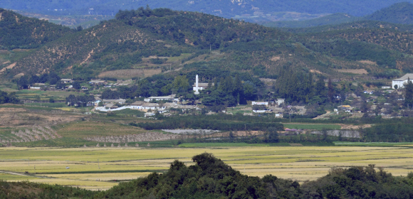 평양 남북정상회담으로 한반도의 긴장이 완화되고 있는 가운데 26일 오후 경기도 파주시 오두산 전망대에서 바라본 북한 개풍에 벼가 노랗게 익어가고 있다. 2018.9.26 도준석 기자 pado@seoul.co.kr