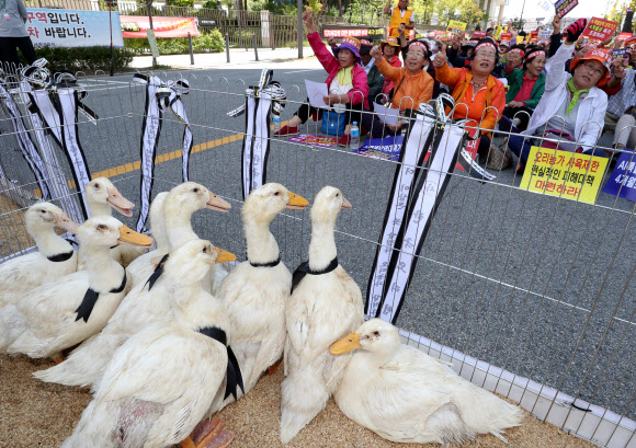 정부세종청사 방문한 ‘오리’