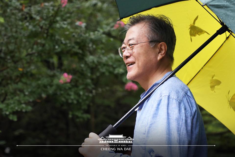 아직 배롱나무 꽃이 활짝 피어있어 반갑습니다. 청와대 제공 