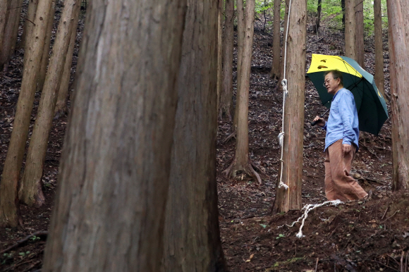 문재인 대통령이 29일 오전 경남 양산시 사저 뒷산에서 산책을 하고 있다. 2018.09.29. 청와대 제공