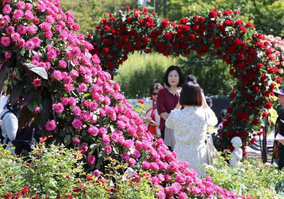 개천절이자 휴일인 3일 2018 세계정원박람회가 열리는 서울 여의도 공원을 찾은 시민들이 아름답게 꾸며진 정원에서 초가을 오후를 즐기고 있다. 2018.10.3  연합뉴스