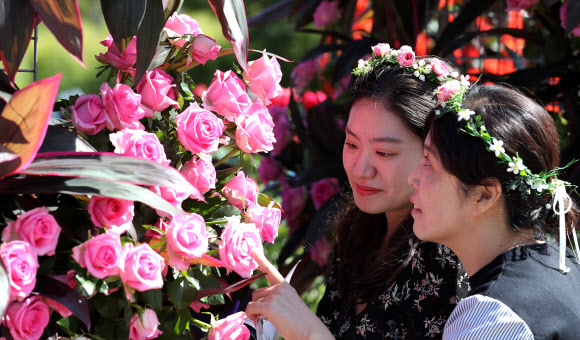 개천절이자 휴일인 3일 2018 세계정원박람회가 열리는 서울 여의도 공원을 찾은 시민들이 아름답게 꾸며진 정원에서 초가을 오후를 즐기고 있다. 2018.10.3  연합뉴스