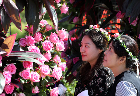 개천절이자 휴일인 3일 2018 세계정원박람회가 열리는 서울 여의도 공원을 찾은 시민들이 아름답게 꾸며진 정원에서 초가을 오후를 즐기고 있다. 2018.10.3  연합뉴스